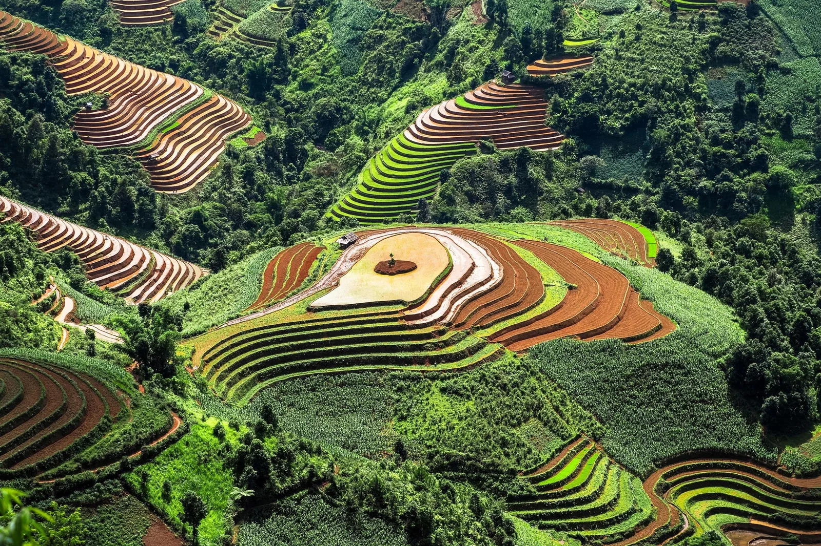 Aerial view of vibrant terraced rice fields carved into the hills of Mu Cang Chai, Vietnam.