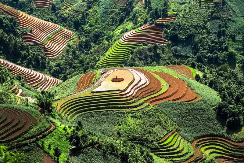 Aerial view of vibrant terraced rice fields carved into the hills of Mu Cang Chai, Vietnam.