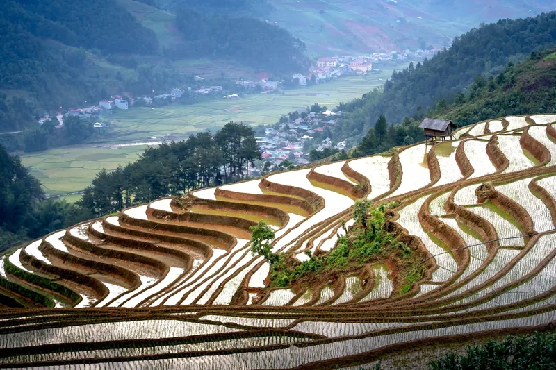 Water-filled terraced rice fields curve down a hillside above a village in Mu Cang Chai.