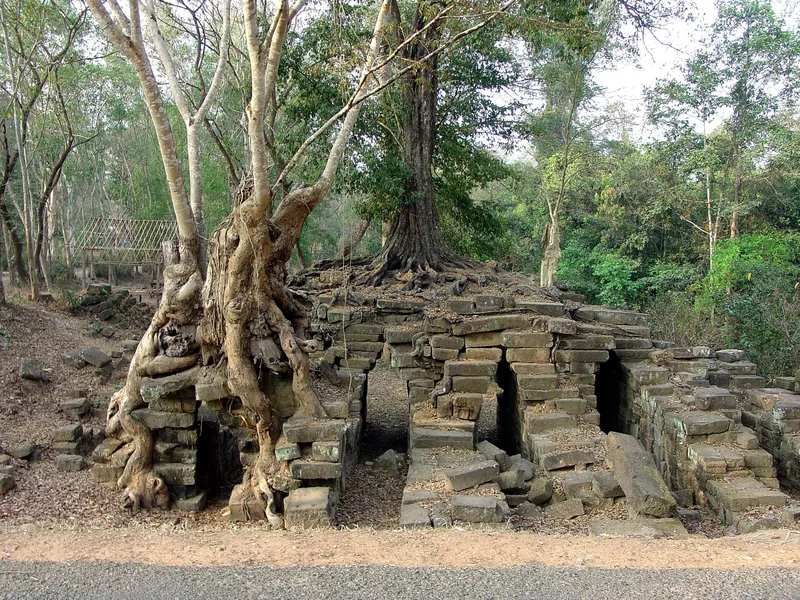 Ancient stone ruins overgrown with tree roots at Spean Thma near Angkor, Siem Reap.