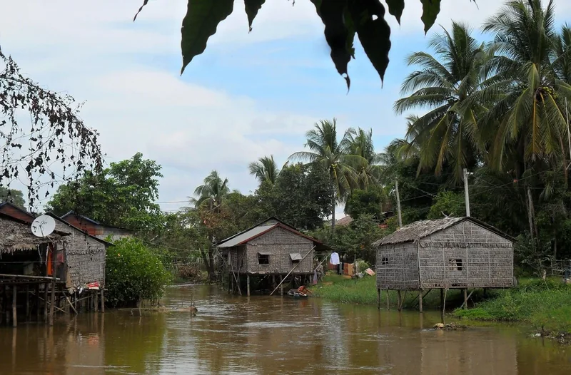 Traditional wooden stilt houses line a muddy river channel amid palm trees near Siem Reap.