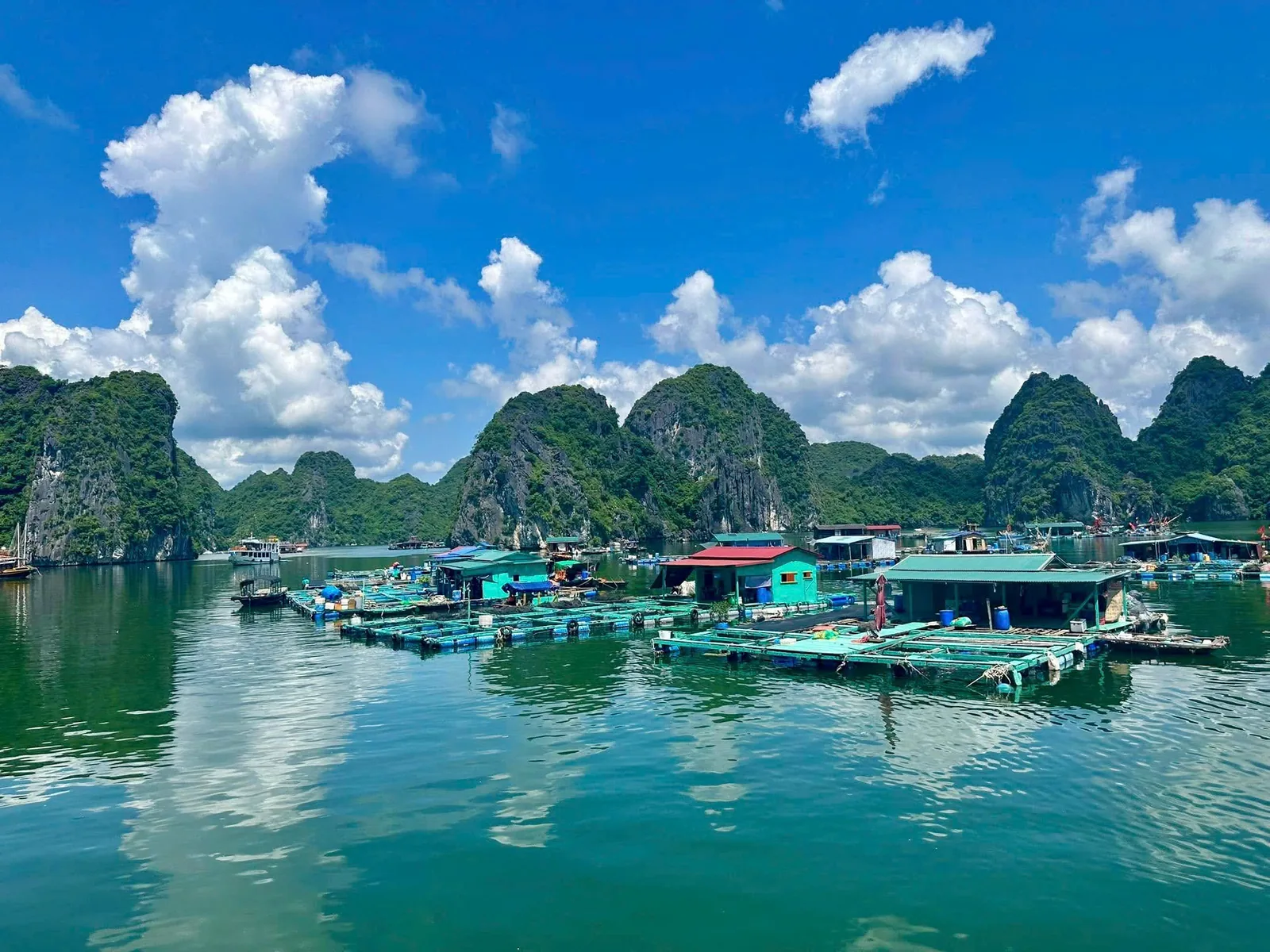 Floating fishing village with colorful huts and boats surrounded by limestone karsts in Lan Ha Bay.