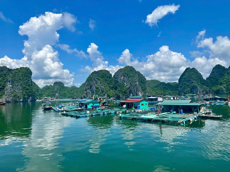 Floating fishing village with colorful huts and boats surrounded by limestone karsts in Lan Ha Bay.