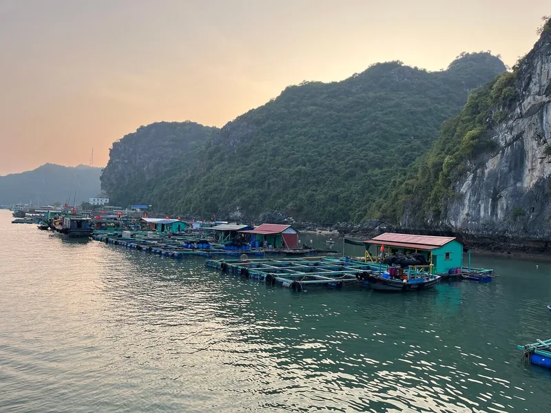 A floating fishing village with colorful huts and fish cages sits below limestone cliffs at sunset in Lan Ha Bay.