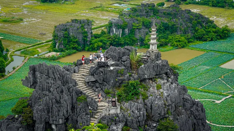 Visitors climb stone steps to a pagoda atop a limestone karst overlooking rice fields at Hang Múa in Ninh Binh.