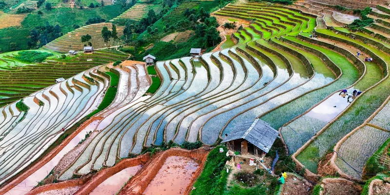 Aerial view of flooded terraced rice fields curving down a hillside in Mu Cang Chai.
