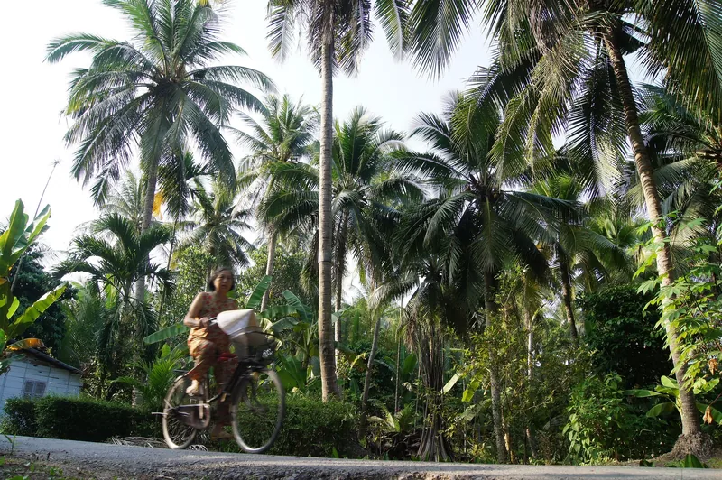 A woman cycles along a rural road lined with tall coconut palms in the Mekong Delta.