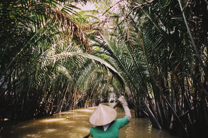 A woman in a conical hat rows a boat through a narrow palm-lined canal in the Mekong Delta.