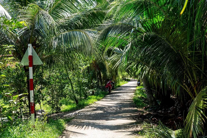 A narrow rural path shaded by coconut palms winds through a farm in the Mekong Delta.